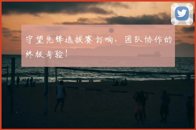 守望先锋选拔赛打响,团队协作的终极考验!